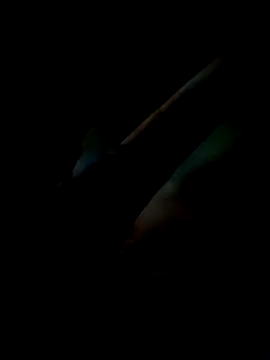 Inkognito0495 online show from 05/30/26, 03:13