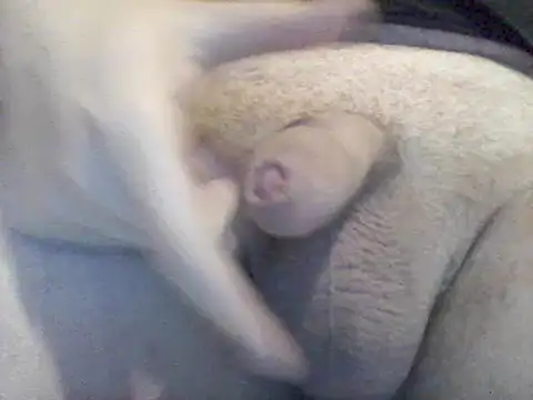 Snapshot of Lovelabite2 chatting on 02/17/25, 05:12 Lovelabite2 online show from 02/17/25, 05:12