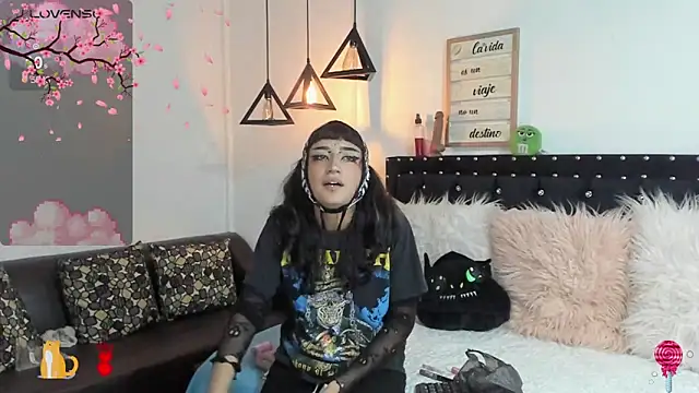 meow mota online show from 03/06/25, 08:48