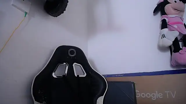 bulma milk online show from 03/11/26, 09:42