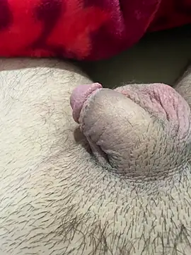 TheArabicGuyx online show from 02/13/26, 09:48