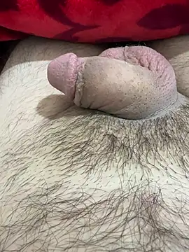 TheArabicGuyx online show from 02/25/26, 07:47