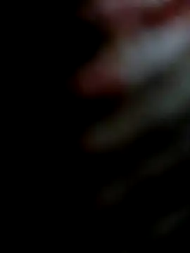 Snapshot of miamiworld chatting on 12/13/24, 02:27 miamiworld online show from 12/13/24, 02:27