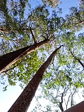 sexyterapy online show from 03/29/26, 06:53