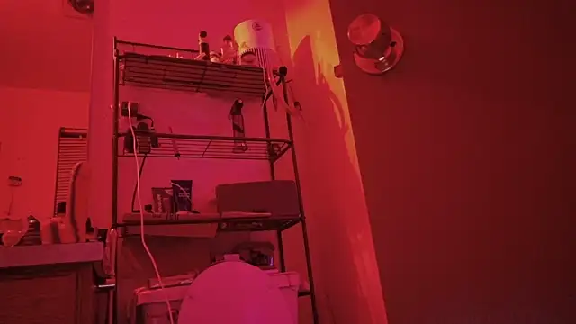 SlammyDjr online show from 03/03/26, 11:28