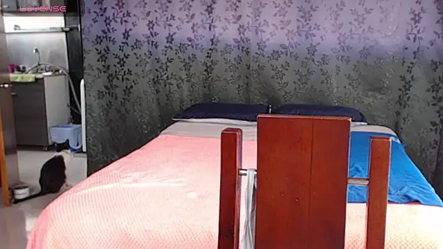 miia-big1boobs  online show from 07/09/26, 08:30