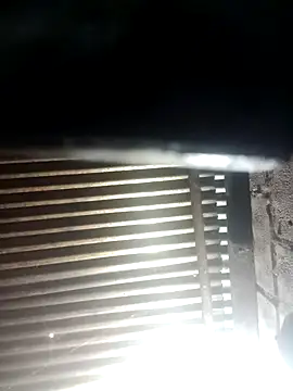 Huebolocko online show from 12/29/24, 06:56