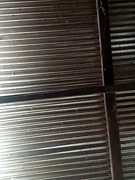 Huebolocko online show from 12/03/24, 06:22