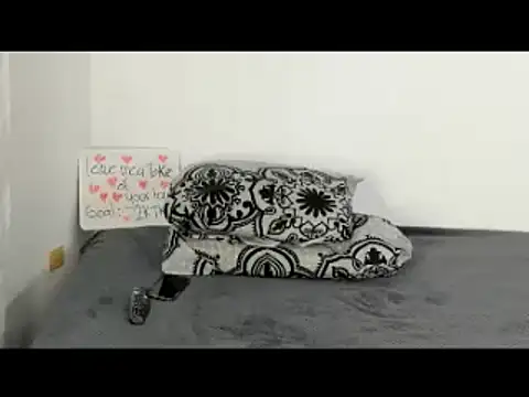 May Dylan1 online show from 11/26/25, 02:22