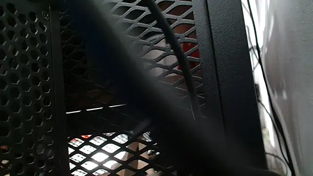 priselvis23 online show from 03/16/25, 07:49