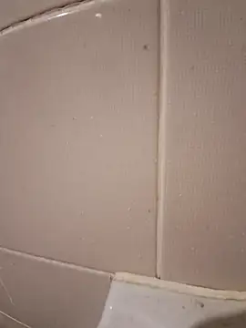 mertbey07 online show from 12/25/24, 07:45