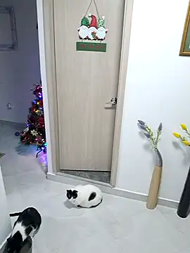 Mia Ruiz online show from 11/30/25, 03:07