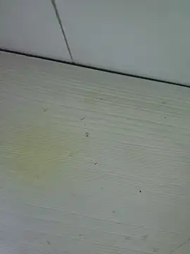 Nyx nayla online show from 11/01/25, 08:19