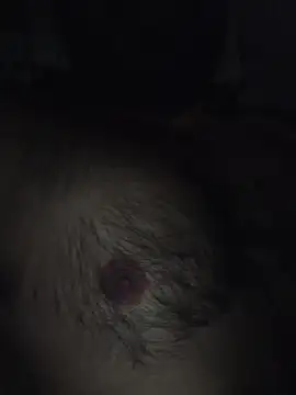 playboy 30 online show from 12/15/25, 06:58