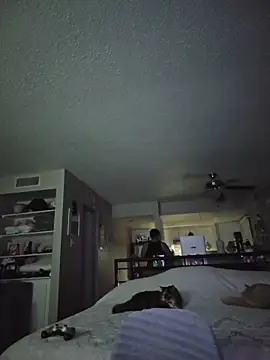 Snapshot of DevilDahm chatting on 02/09/26, 05:49 DevilDahm online show from 02/09/26, 05:49