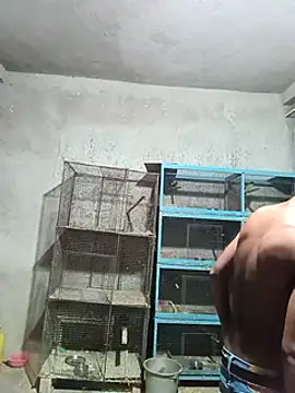 NICK IN online show from 02/01/25, 03:28