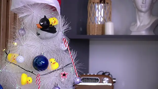 PollyBeev online show from 11/23/25, 07:29