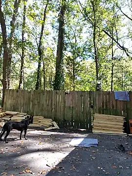 Buffshagswell online show from 10/21/25, 04:06