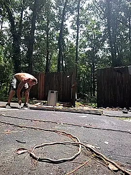 Buffshagswell online show from 07/21/26, 04:41