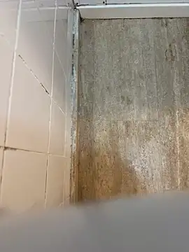 Snapshot of reelciii21 chatting on 03/23/25, 12:58 reelciii21 online show from 03/23/25, 12:58