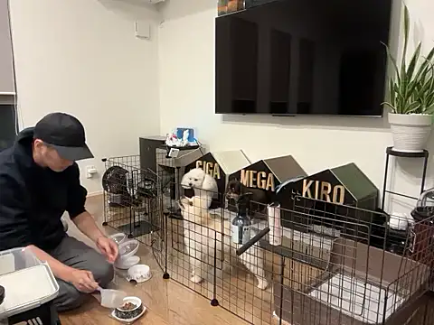 kensnb online show from 10/21/25, 09:30