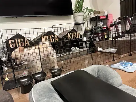 kensnb online show from 11/02/25, 08:03