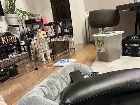 kensnb online show from 11/01/25, 09:14