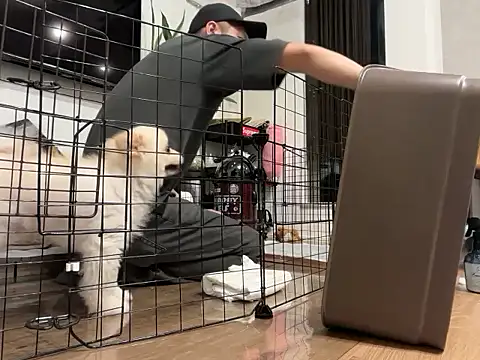 kensnb online show from 10/10/25, 08:48