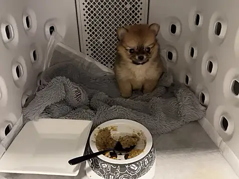 kensnb online show from 12/02/25, 07:37