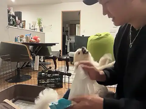 kensnb online show from 11/04/25, 08:51