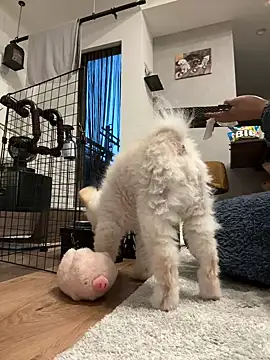 kensnb online show from 03/09/26, 09:07