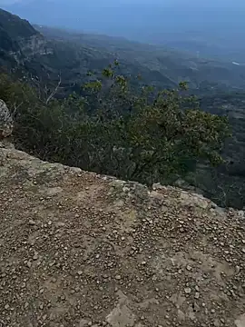 cataafitt online show from 03/05/25, 11:16