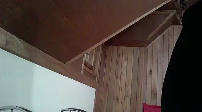 Snapshot of senhorasegredo chatting on 01/26/25, 03:48 senhorasegredo online show from 01/26/25, 03:48