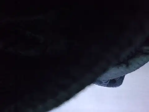 exmilitary online show from 02/15/26, 12:59