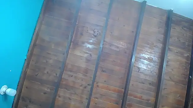 dante ferraraa online show from 09/12/25, 10:09