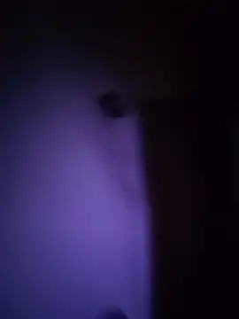 Snapshot of Dani_pegin chatting on 12/02/25, 01:02 Dani pegin online show from 12/02/25, 01:02