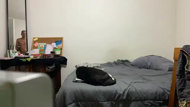 Snapshot of villanocat chatting on 12/20/24, 05:04 villanocat online show from 12/20/24, 05:04