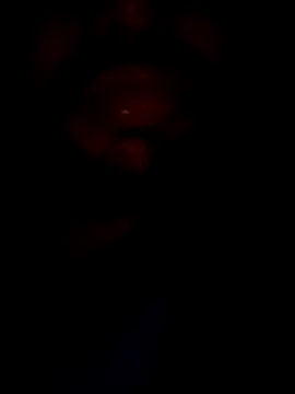 Snapshot of mohitsexy12 chatting on 12/08/24, 05:33 mohitsexy12 online show from 12/08/24, 05:33