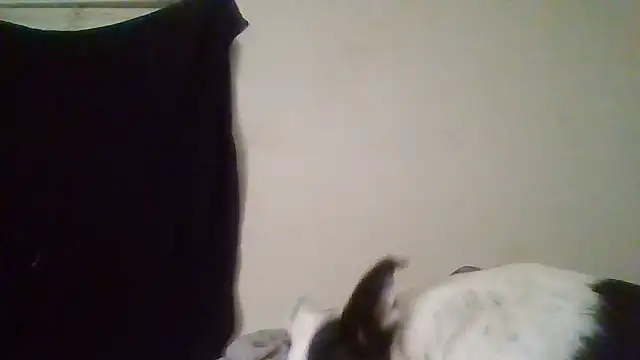 rosequartz online show from 01/14/26, 04:05