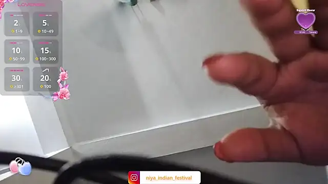 Deshi Chori online show from 09/28/25, 08:27