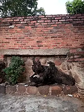 Snapshot of sweet_outdoor_charm chatting on 11/27/25, 08:20 sweet outdoor charm online show from 11/27/25, 08:20