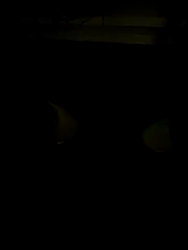 coppiapazza online show from 12/18/25, 11:19