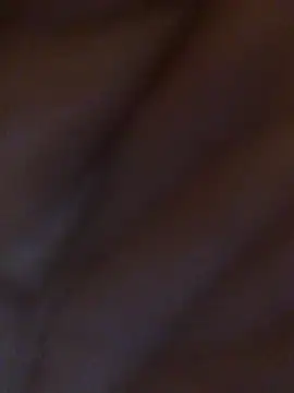 Snapshot of Inseminator69 chatting on 12/14/24, 11:07 Inseminator69 online show from 12/14/24, 11:07