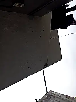 Andrapradesh online show from 10/13/25, 09:00