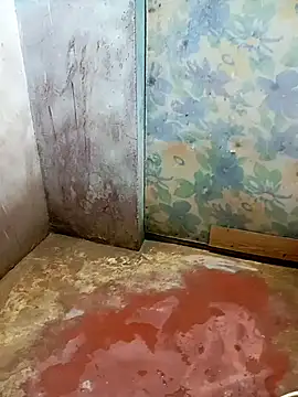 Andrapradesh online show from 03/07/26, 04:56