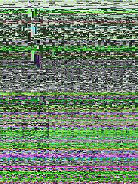 Snapshot of tallnerdyguy chatting on 02/13/26, 02:11 tallnerdyguy online show from 02/13/26, 02:11