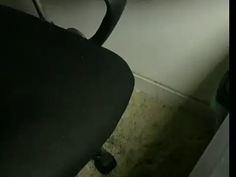 inkjohnrj online show from 04/06/26, 04:46