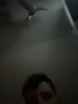 janberlin online show from 02/25/26, 08:03