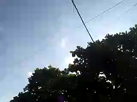 fdvign7 online show from 11/05/25, 09:18