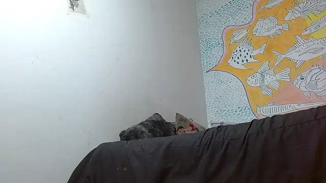 Party trans online show from 02/02/25, 01:12